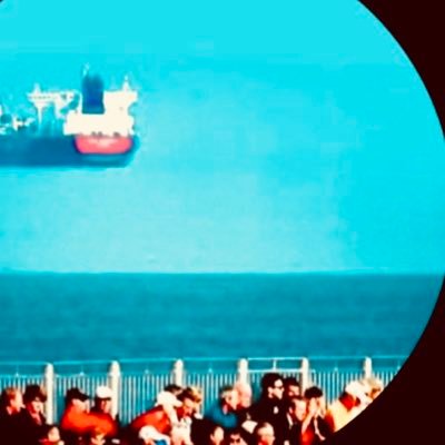 agazoe's profile picture. ネッシーが大好きです。いるいないというよりいてくれとずっと願っています。コアラの保護をしたいです