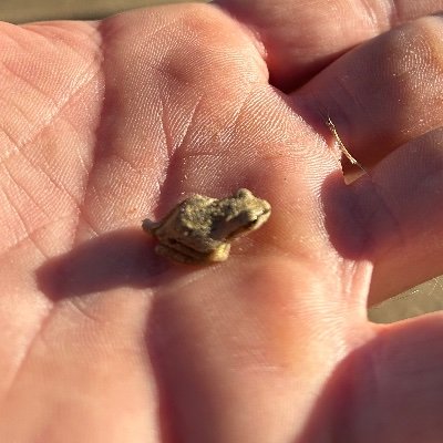 oneDollarStiffy's profile picture. You are viewing the tweets of a self diagnosed retard 🤤 You don’t have to go home but you can’t stay here!