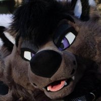 Wuffydave (@wuffydave) 's Twitter Profile Photo Wuffydave (@wuffydave) 's Twitter Profile Photo