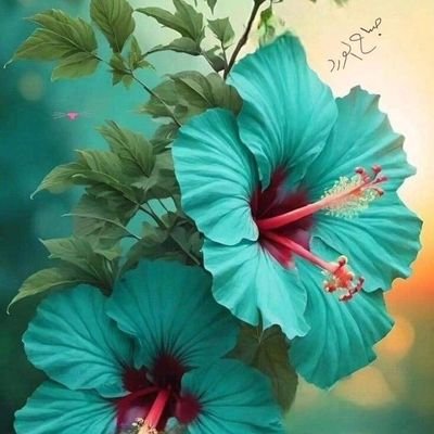 mazen973's profile picture. ....