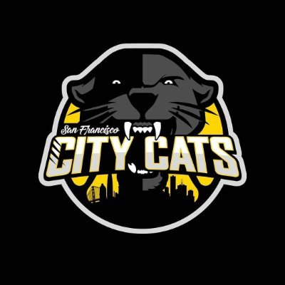 The San Francisco City Cats are a professional basketball team based in San Francisco, California. They compete in the American Basketball Association (ABA)