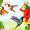 jarol_j's profile picture. alegre espontáneo . primero DIOS  y  amante de la vida la familia las aves y la naturaleza .