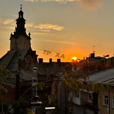 WangX373118's profile picture. I sincerely hope you can help me.