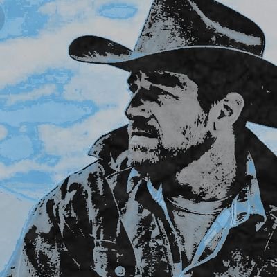 furorecrescent's profile picture. ⠀