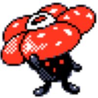 pannekook 🫶 (@pannekook) 's Twitter Profile Photo pannekook 🫶 (@pannekook) 's Twitter Profile Photo