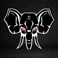 Carthage Strategists Esports (@cst_esports) 's Twitter Profile