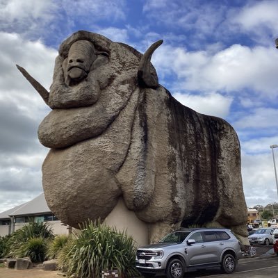 johnsonchen1966's profile picture. Don’t let fear hold you back