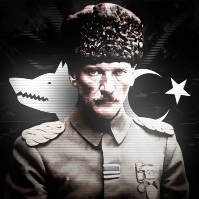 _81_Bayraktar's profile picture. 