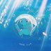 pokenom (@pokenom_) Twitter profile photo pokenom (@pokenom_) Twitter profile photo