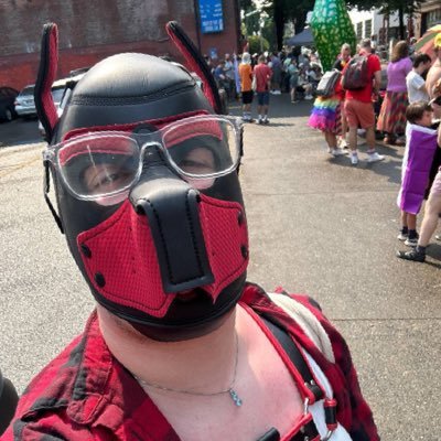 cookiebombs1991's profile picture. loving all things zelda and baking. I want so much right now like to stream and also go to zeldathon. becoming a part time stream but I need some help.