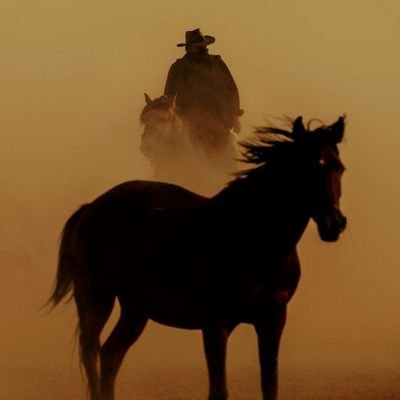 ibnul_qasimQ's profile picture. حَسْبُنَا اللَّهُ وَنِعْمَ الْوَكِيلُ