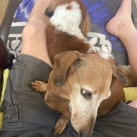 Bob Wire (@pops30575819) 's Twitter Profile