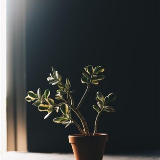 mikari1771232's profile picture. お金を引き寄せる秘訣や有益情報など紹介中。自分がお金に苦労した経験からお金に苦しんでいる方の力になれればと思い、少しですが現金給付企画を実施しております♪ 期間限定➡ https://t.co/BvQzaNEW5m