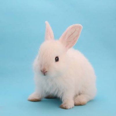 musica77777's profile picture. 