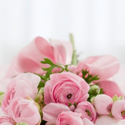 ayahi711657's profile picture. 効率よくお金を増やす秘訣やおトク情報など発信したりしています。私自身お金に苦労したので生活に苦しんでいる方を助けたいと思い、わずかですがお金配り企画をしています♫ 詳細はコチラから→ https://t.co/bAps02HLqM