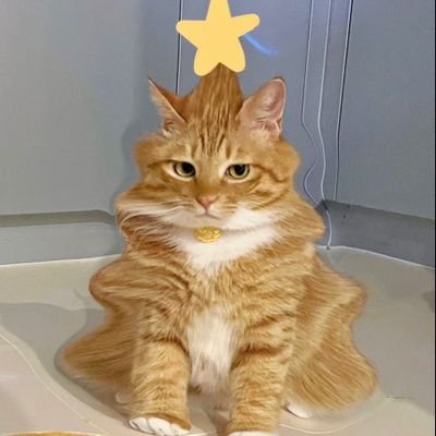 さちさんのプロフィール画像