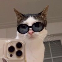 โบ๋🫡 (@bsnap_) 's Twitter Profile Photo โบ๋🫡 (@bsnap_) 's Twitter Profile Photo