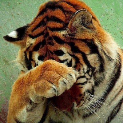 sammyさんのプロフィール画像