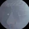 Talal20200000's profile picture. يُصيب ويُخطئ ،  يعتز  بذاته  ويعترف بأخطائه
