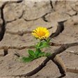 副業の成功法を共有中。副業を始めたい人に有益な情報を提供。少しですがプレゼント企画もしています。 なくなり次第終了➡ https://t.co/GXTqDV1CRA
