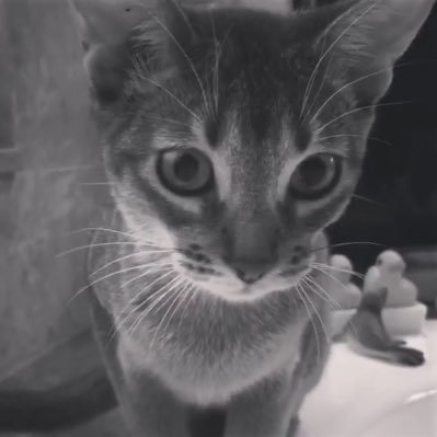 marya_loving's profile picture. 旅が　好き😊