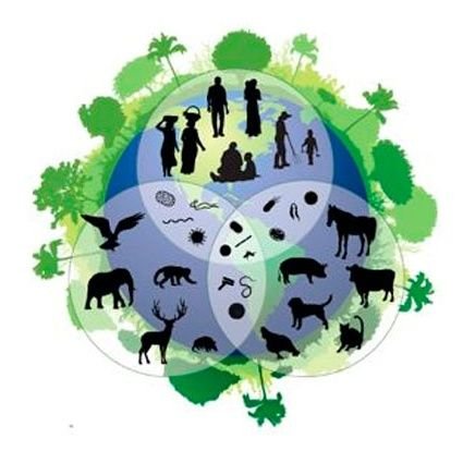 Zootecnista, Lic. Química y biología, Biotecnología agroindustrial.
