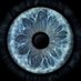 Plaza Para Todos 2025 (@2025_plaza) Twitter profile photo Plaza Para Todos 2025 (@2025_plaza) Twitter profile photo