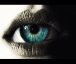 enzoaronica's profile picture. Director and teacher in theater, film and new media. #Documentary #filmmaker, #photographer &  #traveller #north pole #arctic #clima