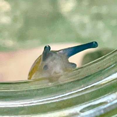 stars_body_'s profile picture. 21 🇭🇹| obsessed with my body | closed marriage | ask about my paypal