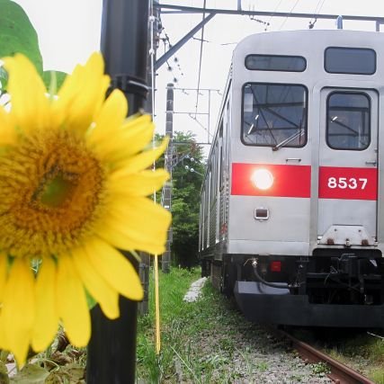 kevMsMDVjhZq0r5's profile picture. 無言フォロー失礼しますm(_ _)m