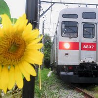 TK8500 (@kevmsmdvjhzq0r5) 's Twitter Profile