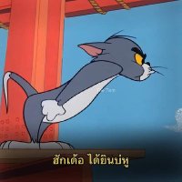 ณัฐพัชร์ แสนชมภู (@hphchrsnch3212) 's Twitter Profile