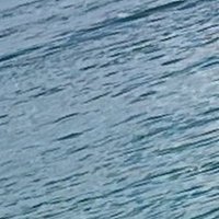 . (@applewithchees3) 's Twitter Profile