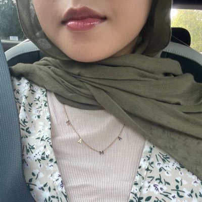 dilarazmi's profile picture. meanie angrina