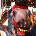 Rick Kaplan (@one_sherpa) Twitter profile photo