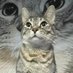 Sundernuckle (@sundernuckle) Twitter profile photo Sundernuckle (@sundernuckle) Twitter profile photo