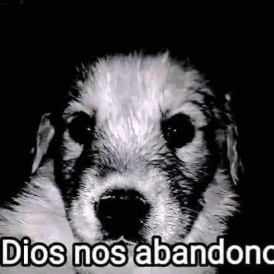 SHADOWOFTH28472's profile picture. 