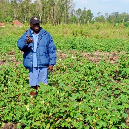 NavcdpSiaya's profile picture. Enhancing Value Addition and Market Access