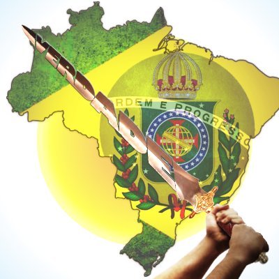 Fênix Conservadora🇧🇷#STFSupremoTERRORISMOFederal Profile