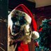 映画『テリファー 聖夜の悪夢』<公式>【11.29(金)公開】🤡 (@terrifier_movie) Twitter profile photo 映画『テリファー 聖夜の悪夢』<公式>【11.29(金)公開】🤡 (@terrifier_movie) Twitter profile photo