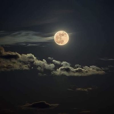 amorousher's profile picture. Not what you think 🥰