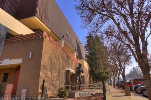 SellandArena's profile picture. 