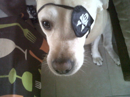 JoseMportillo's profile picture. Alomante 🌁
Conozco el nombre del viento 🍃
Recorriendo el Sendero 🏹
Del Puente 4 🌉
Cuadrante de Jinetes 🐉
Centurión⚔️ ⭐