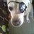 JoseMportillo's profile image