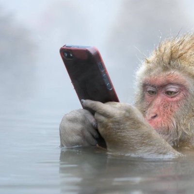 tutomukun329997's profile picture. 勉君です