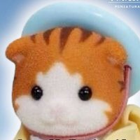 Meme Miniatura (@mememiniatura) 's Twitter Profile Photo