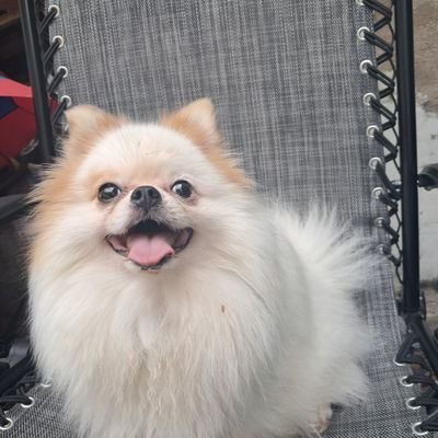 isumin125834's profile picture. 