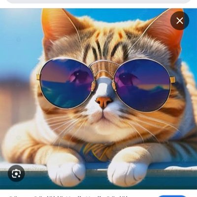 selinkitty123's profile picture. 😎🌹aslan kadını
11 ağustos 🎂 💛💙🇹🇷