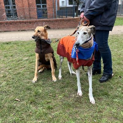 stefaniem266's profile picture. Nach manchen Gesprächen mit einem Menschen hat man das Verlangen einen Hund zu streicheln, einem Affen zuzunicken oder vor einem Elefanten den Hut zu ziehen.