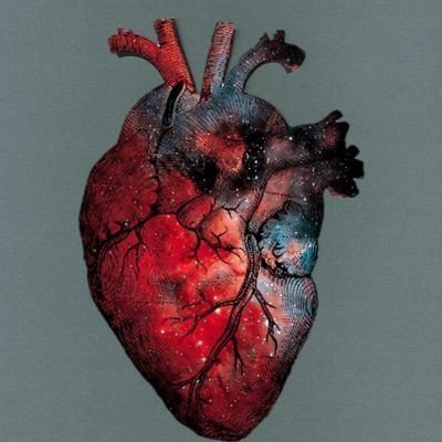 Mubakugan's profile picture. 🧡
140🔥

#مؤسسة_الفكهاني